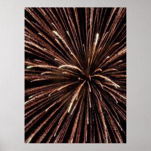 Fireworks Print