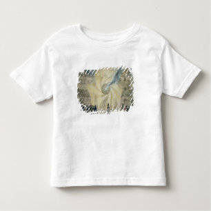 Fireworks Toddler T-Shirt
