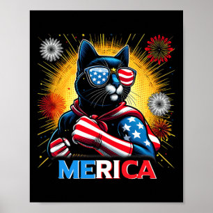 Fireworks Us Flag Patriotic Black Cat  Poster