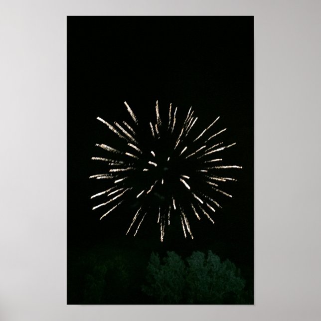 Fireworks with Tree Poster (Front)