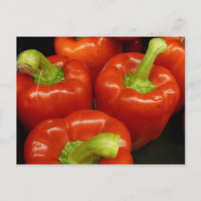 Firey Red peppers Postcard (Front)