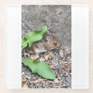 Firld mouse cosster glass coaster