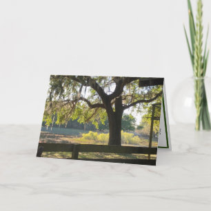 "Firmly Rooted" Psalms Scripture Greeting Card