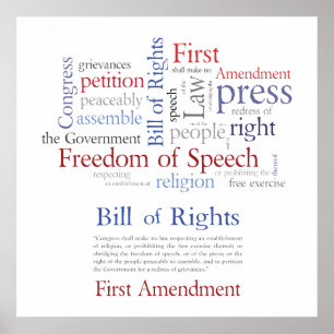 First Amendment Rights - Freedom of Speech Large Poster