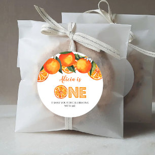 First Birthday Cute Orange Classic Round Sticker