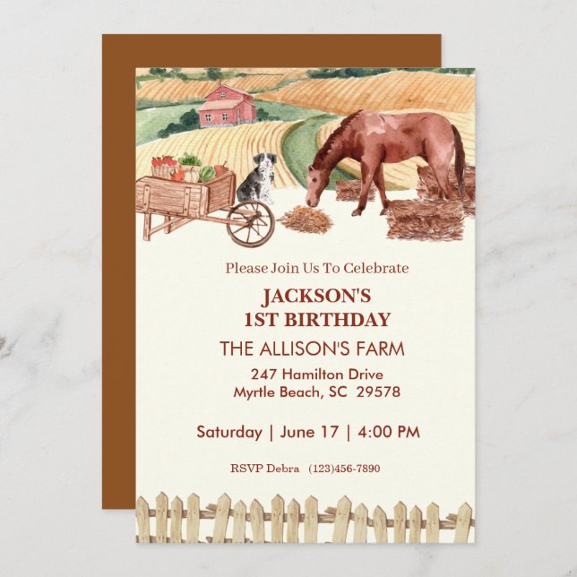 First Birthday Farm Barn Animals Invitations (Front/Back)