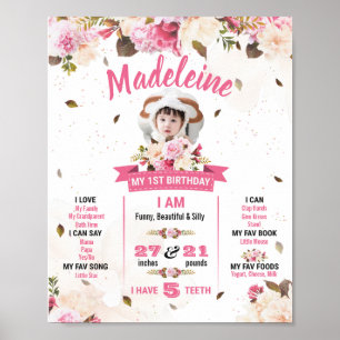 First Birthday For Baby Girl Poster