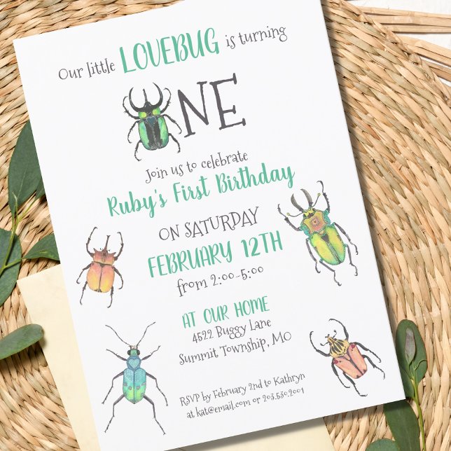 First Birthday Love Bugs Invitation (Creator Uploaded)