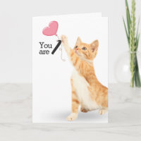 First Birthday Tabby Cat with Heart Balloon
