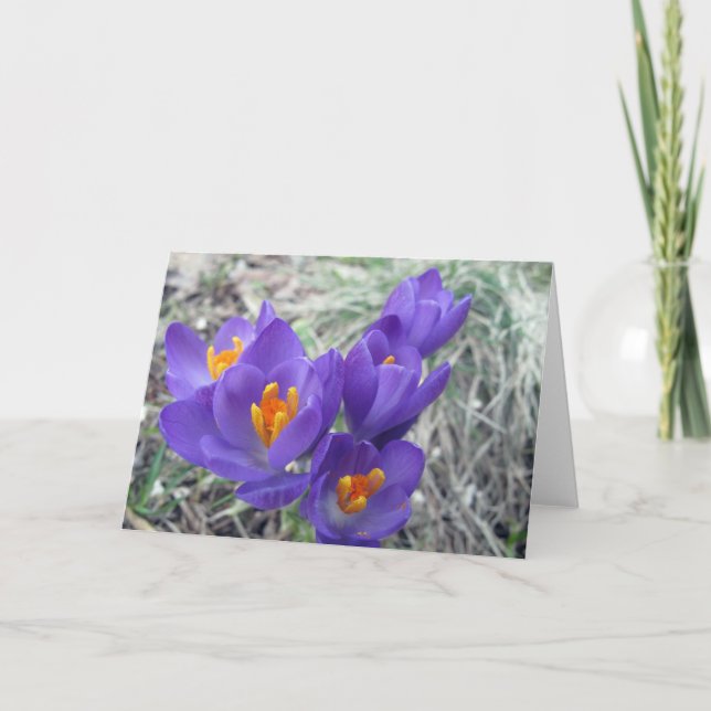 First Blooms of Spring Card (Front)