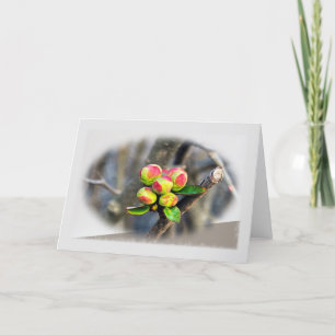 First buds thank you card