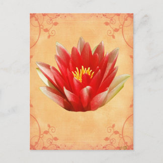 First Chakra Gift Postcard