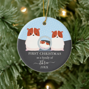 First Christmas as Family of 3 Hamster Animal Ceramic Tree Decoration