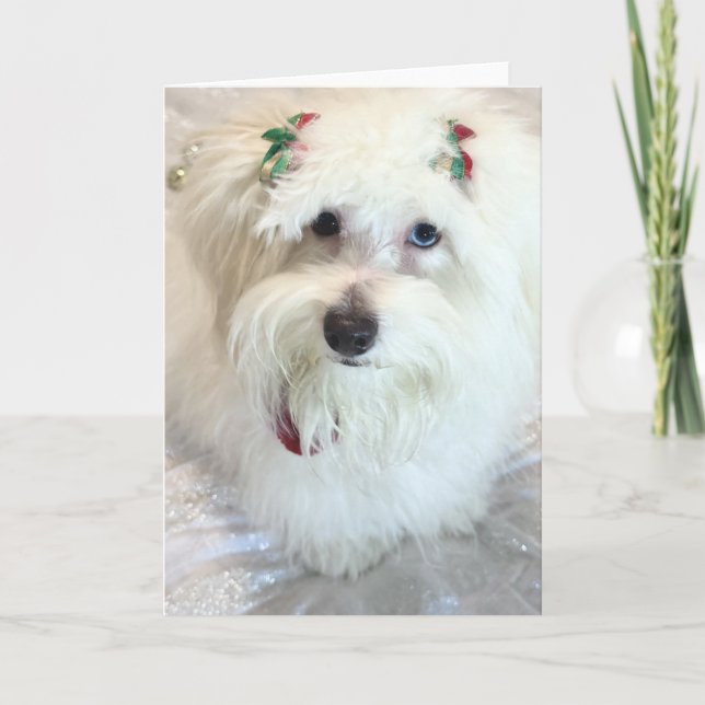 First Christmas  Card (Front)