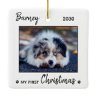 First Christmas Cute Puppy - Simple Dog Pet Photo