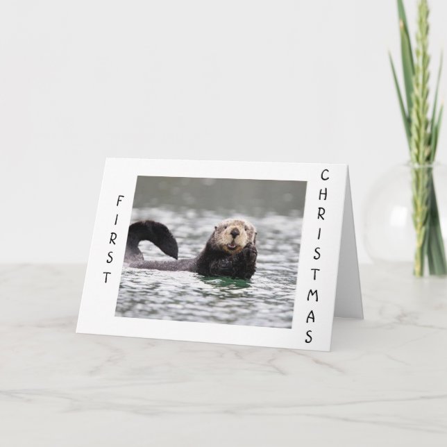 FIRST CHRISTMAS FOR THE BABY IN YOUR LIFE HOLIDAY CARD (Front)