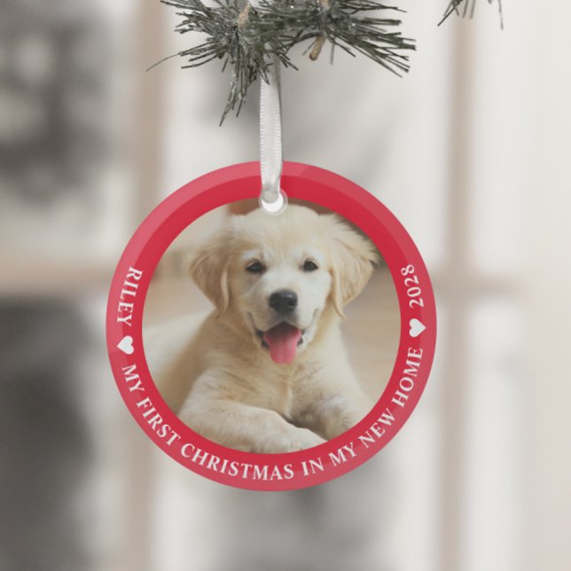 First Christmas Puppy Dog Photo Glass Tree Decoration (Creator Uploaded)