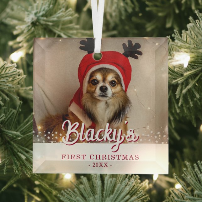 First Christmas Puppy Photo White Stars Glass Tree Decoration (Insitu)