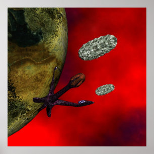 first contact poster