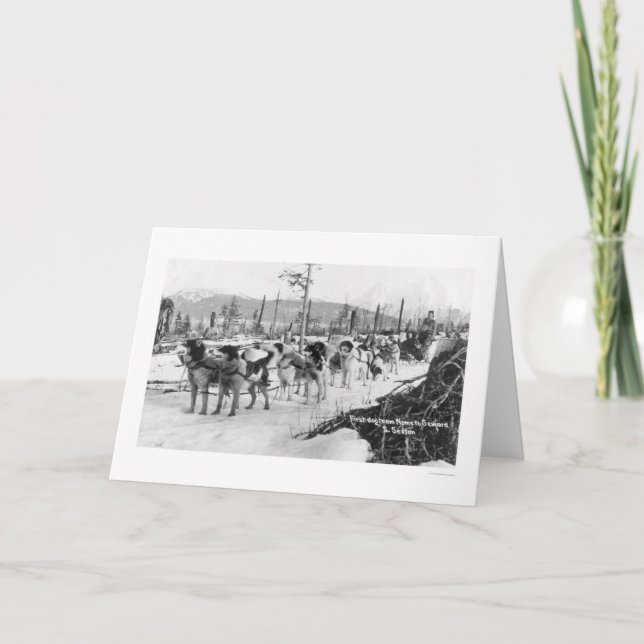 First Dog Team Alaska 1910 Card (Front)