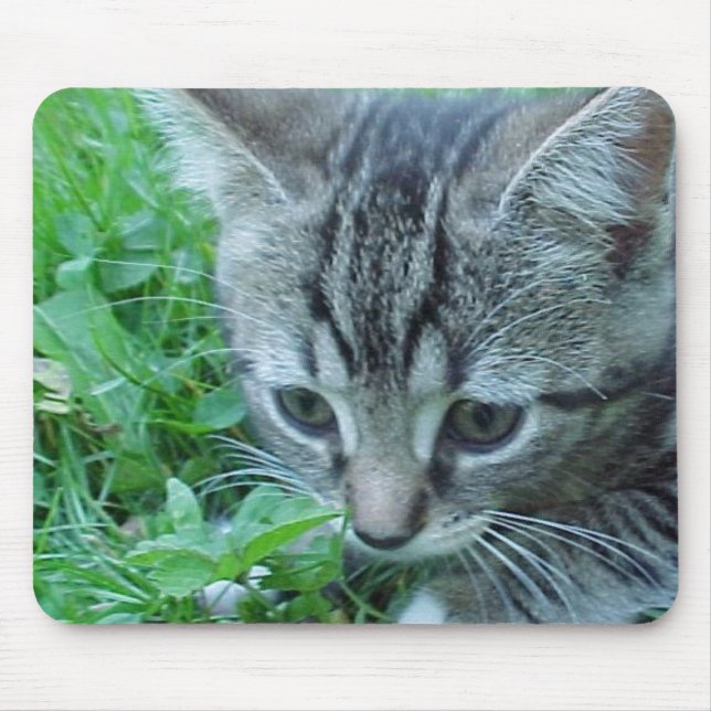 First Explore Mouse Pad (Front)