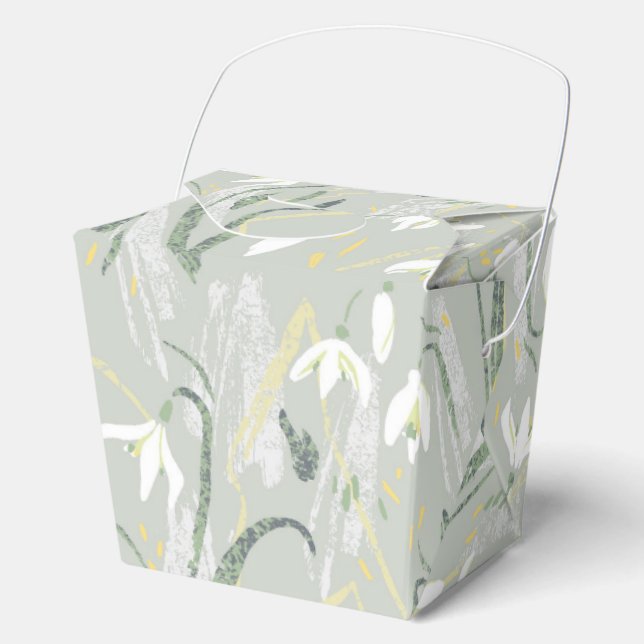 First flowers, snowholes favour box (Front)