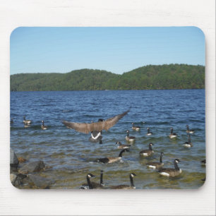 First goose to fly, geese on Lake Arrowhead Mouse Pad