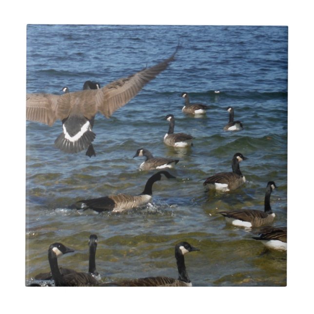 First goose to fly, geese on Lake Arrowhead Tile (Front)