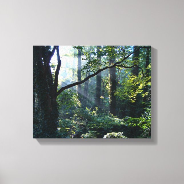 First Light Canvas Print (Front)