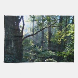 First Light Kitchen Towel