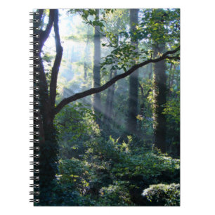 First Light Notebook