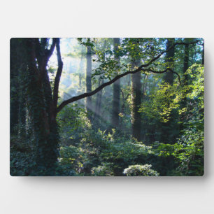 First Light Photo Plaque