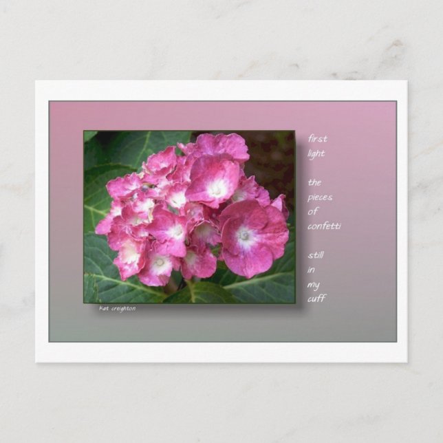 First Light with Hydrangeas Postcard (Front)