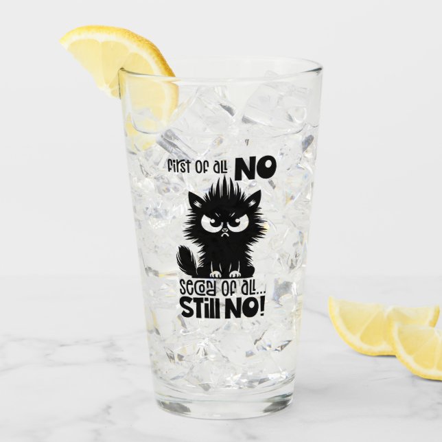 First Of All, No Funny Cat Lover Gift  Glass (Front Ice)