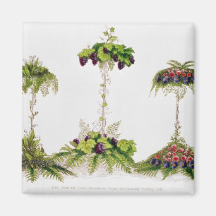 First Prize for Table Decoration Magnet