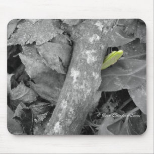 First sign of Spring Mouse Pad