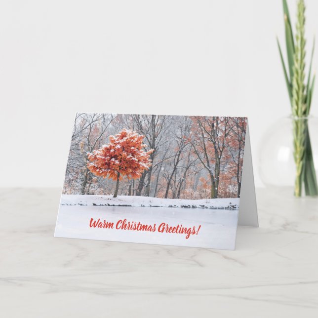 First Snow Christmas Greetings Nature Card (Front)