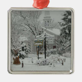 First Snow Fall Town Square Woodstock,NY Metal Tree Decoration