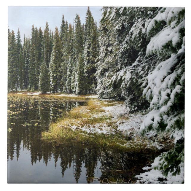 First snow on Golden Waters Tile (Front)