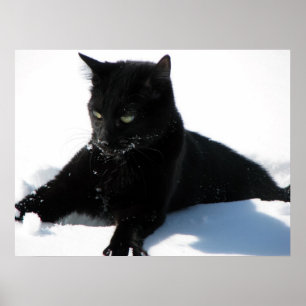 First snow poster