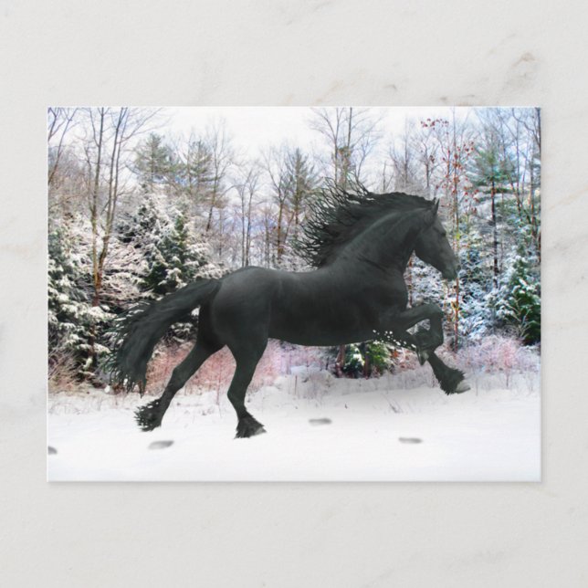 "First Snow Run" Postcard (Front)