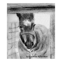 First Time Out, by Lucinda Knowlton