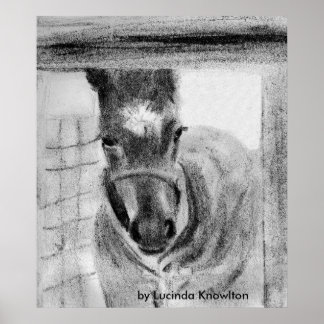 First Time Out, by Lucinda Knowlton Poster