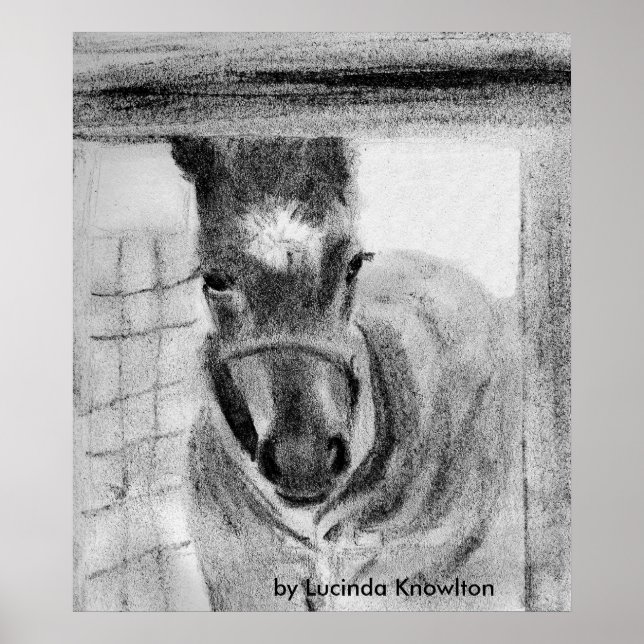 First Time Out, by Lucinda Knowlton Poster (Front)