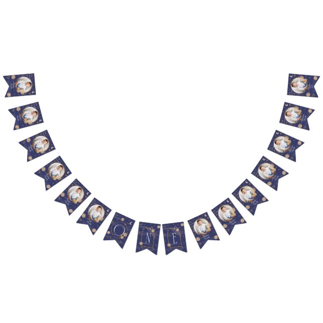 First Trip Around The Sun Monthly Photo Bunting (All)