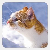 first winter