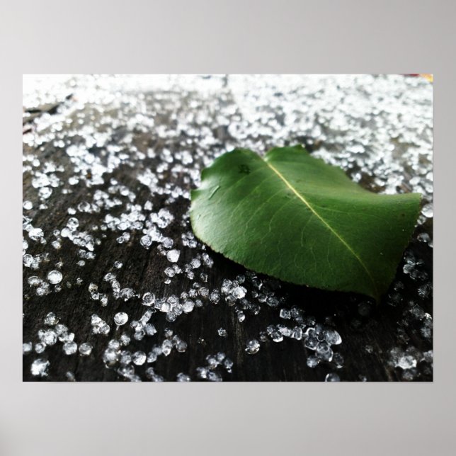 First Winter Weather Poster (Front)