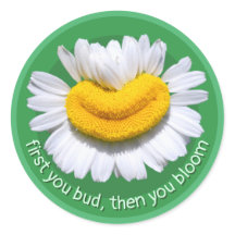 "first you bud, then you bloom" Chamomile Smiles