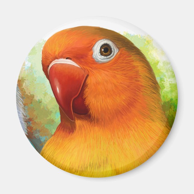 Fischer lovebird magnet (Front)