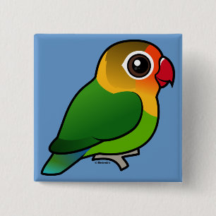 Fischer's Lovebird 15 Cm Square Badge